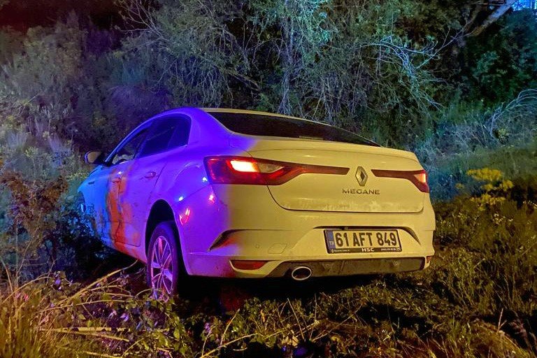 Otomobilin çarptığı ayı telef oldu