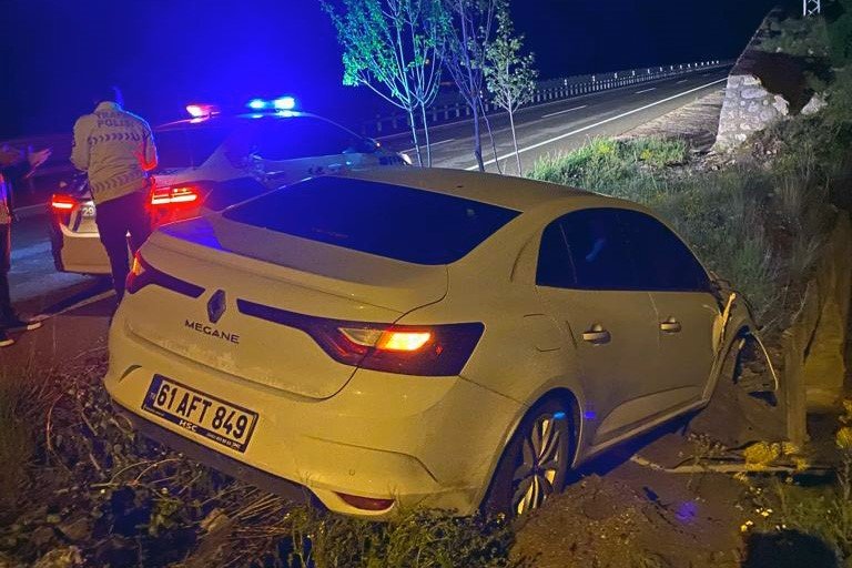 Otomobilin çarptığı ayı telef oldu