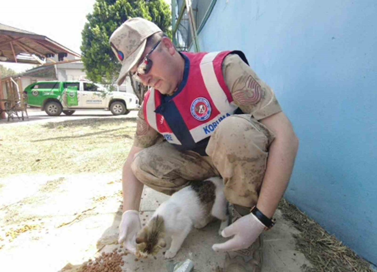 Jandarma deprem nedeniyle sahipsiz kalan hayvanları besledi