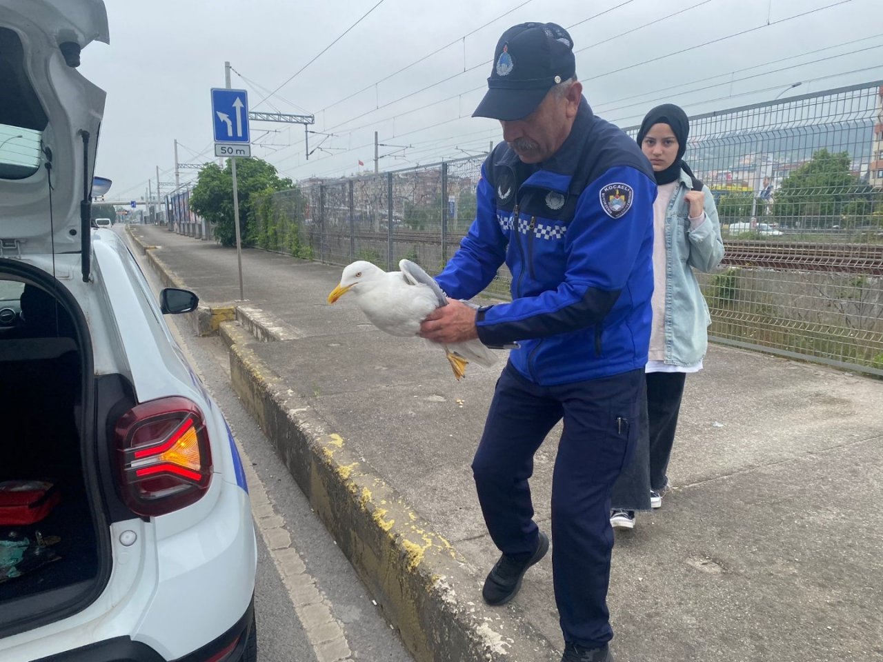 Yaralı martının imdadına yetiştiler