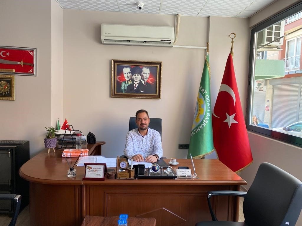 Aydın’da ilek bereketi