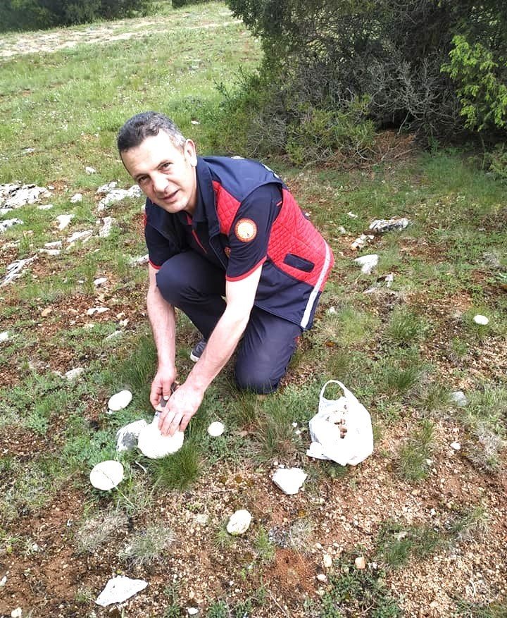 Kütahya’da bir süredir etkili olan yağışlar nedeniyle mantar bereketi yaşanıyor