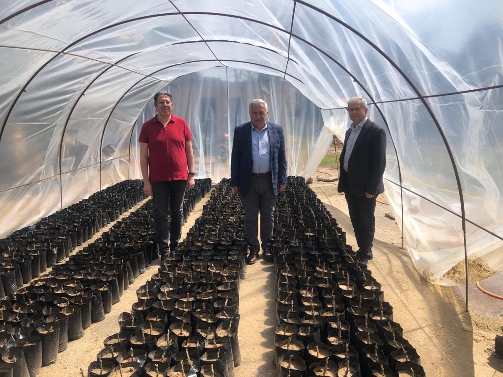 Nazilli Belediyesi fidan üretim tesisi ile milli tarım hamlesini güçlendiriyor