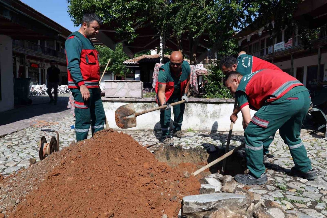 Yağcılar Hanında devrilen çınarın yerine yenisi dikildi