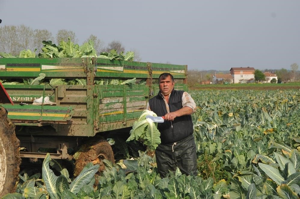 Sebze ve meyveyi Samsun üretiyor, Türkiye tüketiyor