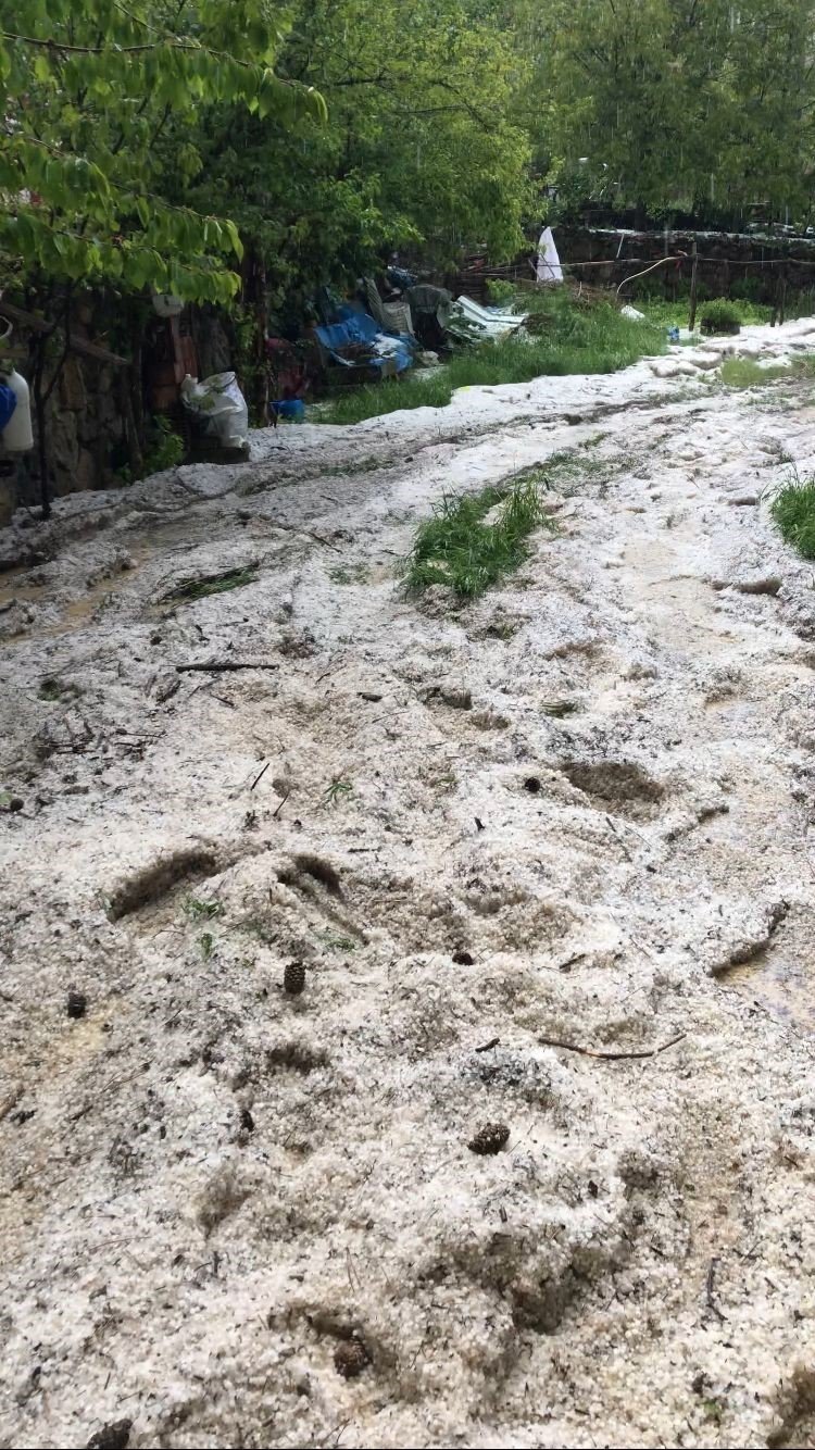 Sağanak yağış ve dolu sonrası su basan ev ve ahırlarda hayvanlar mahsur kaldı