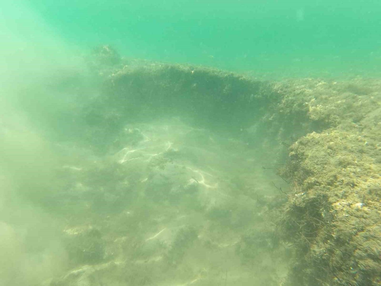 Çayırlara verilen tahribat görüntülendi