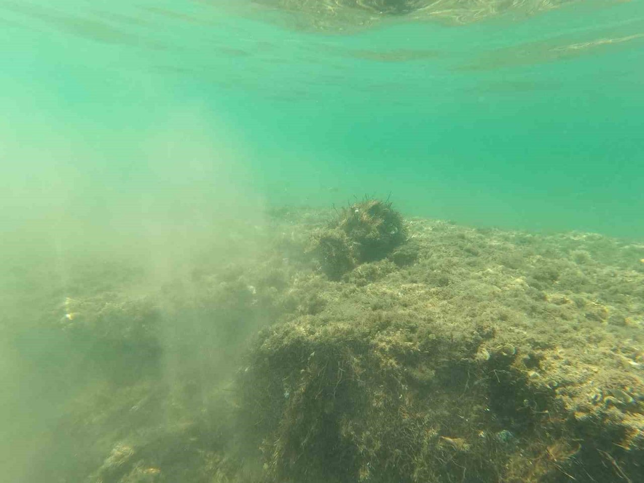 Çayırlara verilen tahribat görüntülendi