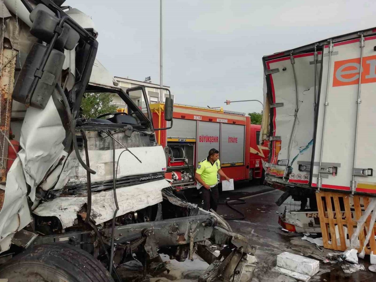 Yola çıkan yavru köpeği kurtarmak isterken canından oldu
