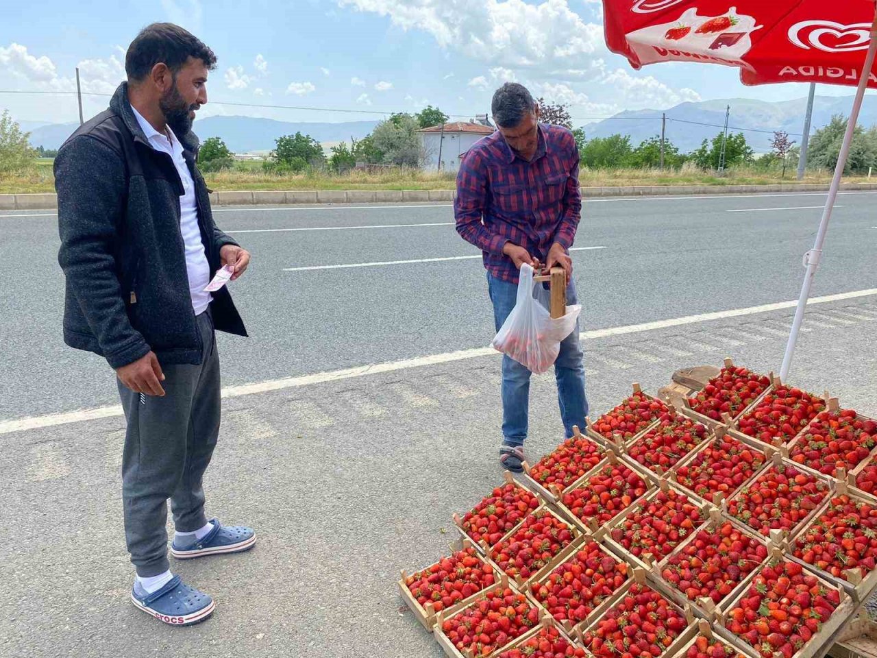 Ana yolda araçları durduran lezzet: Kuyulu çileği görücüye çıktı