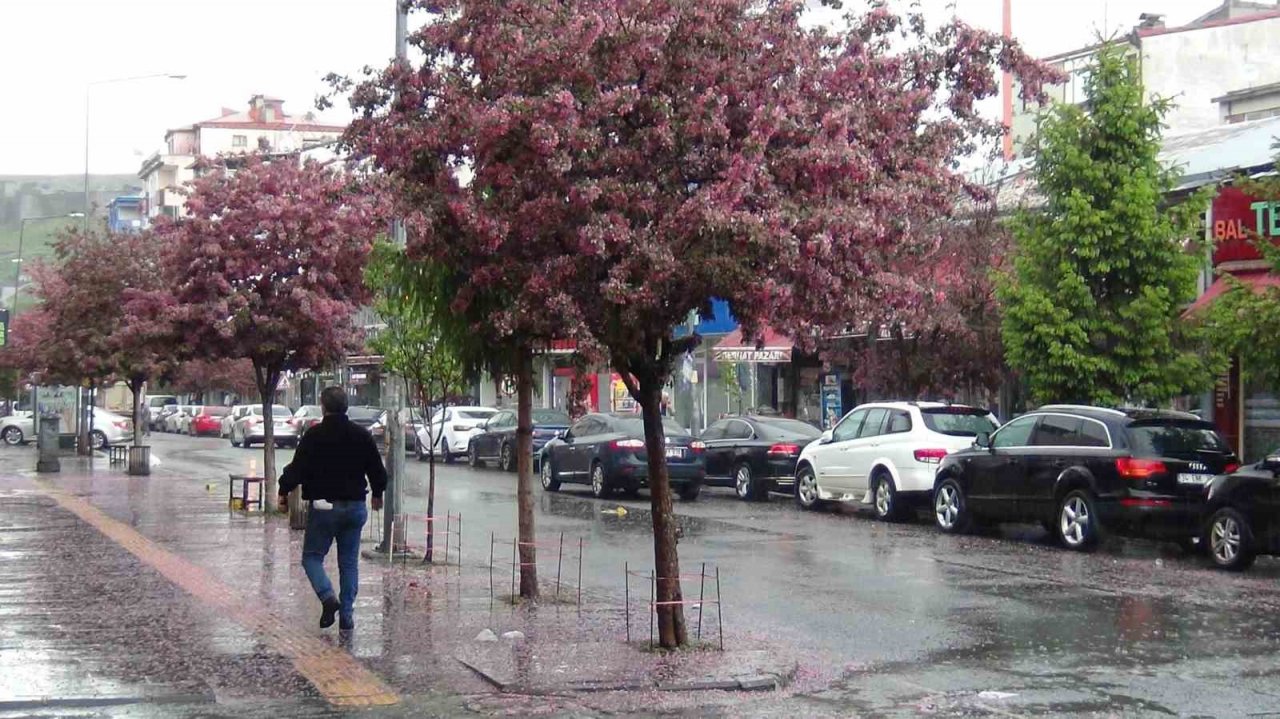 Kars’ta sağanak yağmur bekleniyor