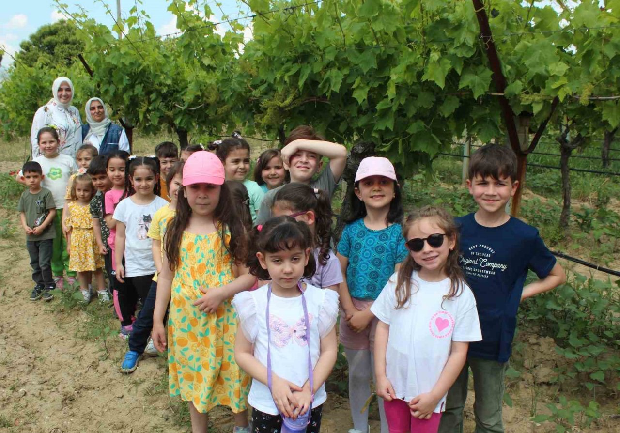 Alaşehirli minikler hem doğayı tanıyor hem de yaşayarak öğreniyor
