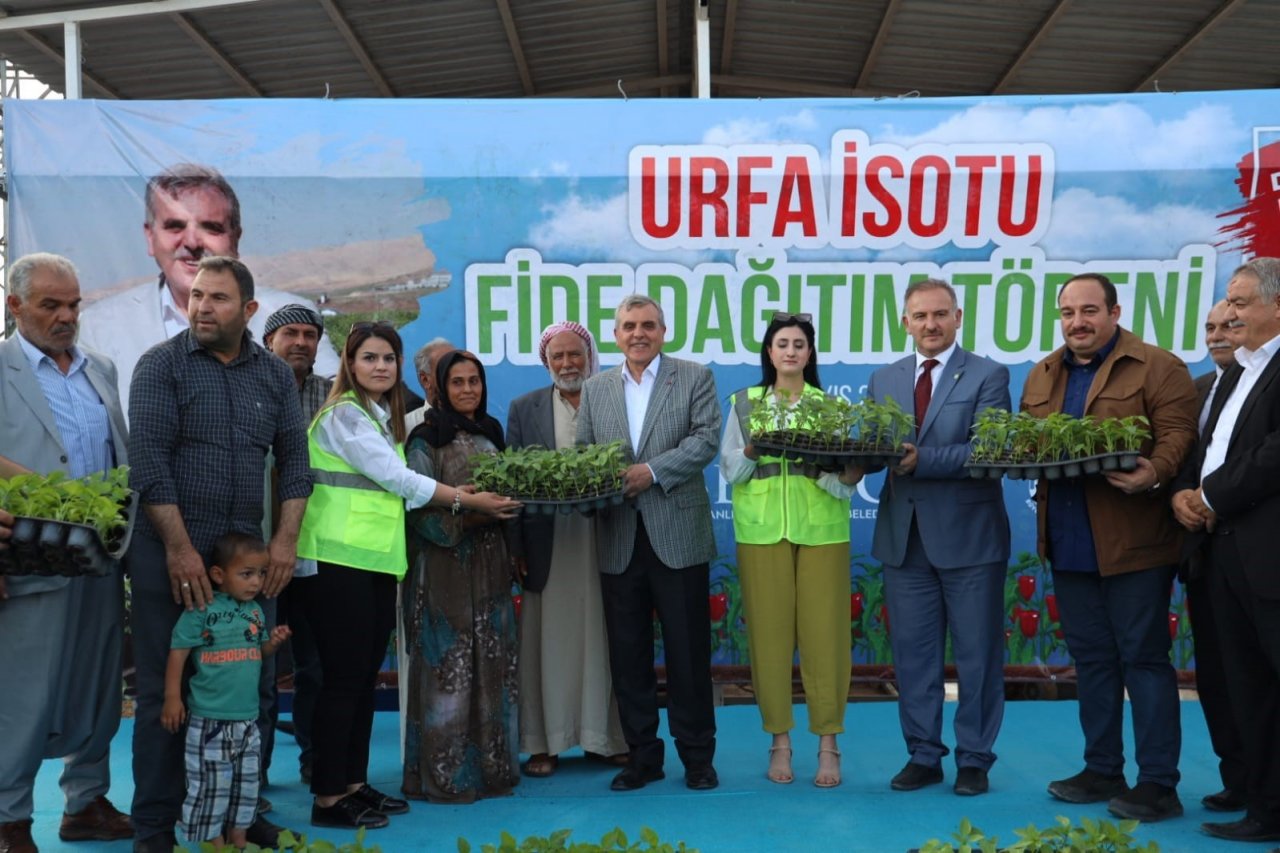 Şanlıurfa’da çiftçilere isot fidesi dağıtıldı