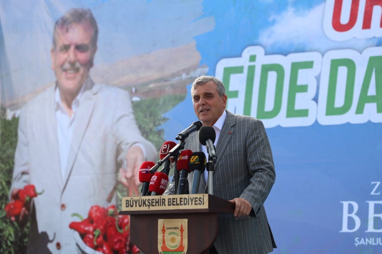 Şanlıurfa’da çiftçilere isot fidesi dağıtıldı