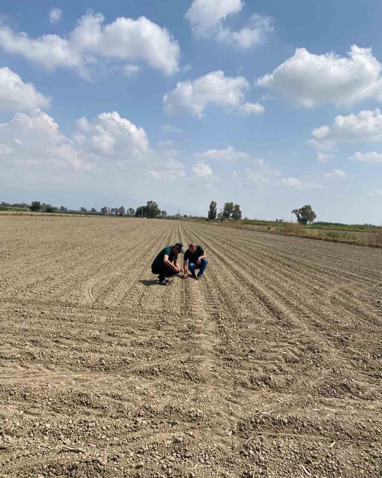 Aydın’da ‘beyaz altın’ için sahaya indiler