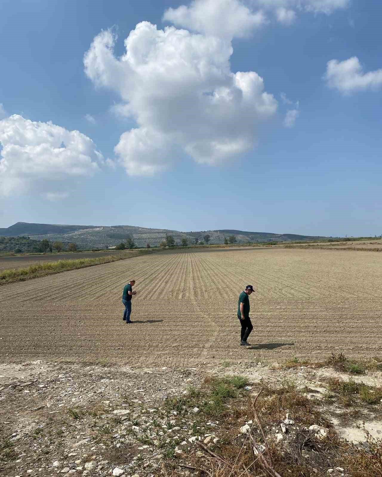 Aydın’da ‘beyaz altın’ için sahaya indiler