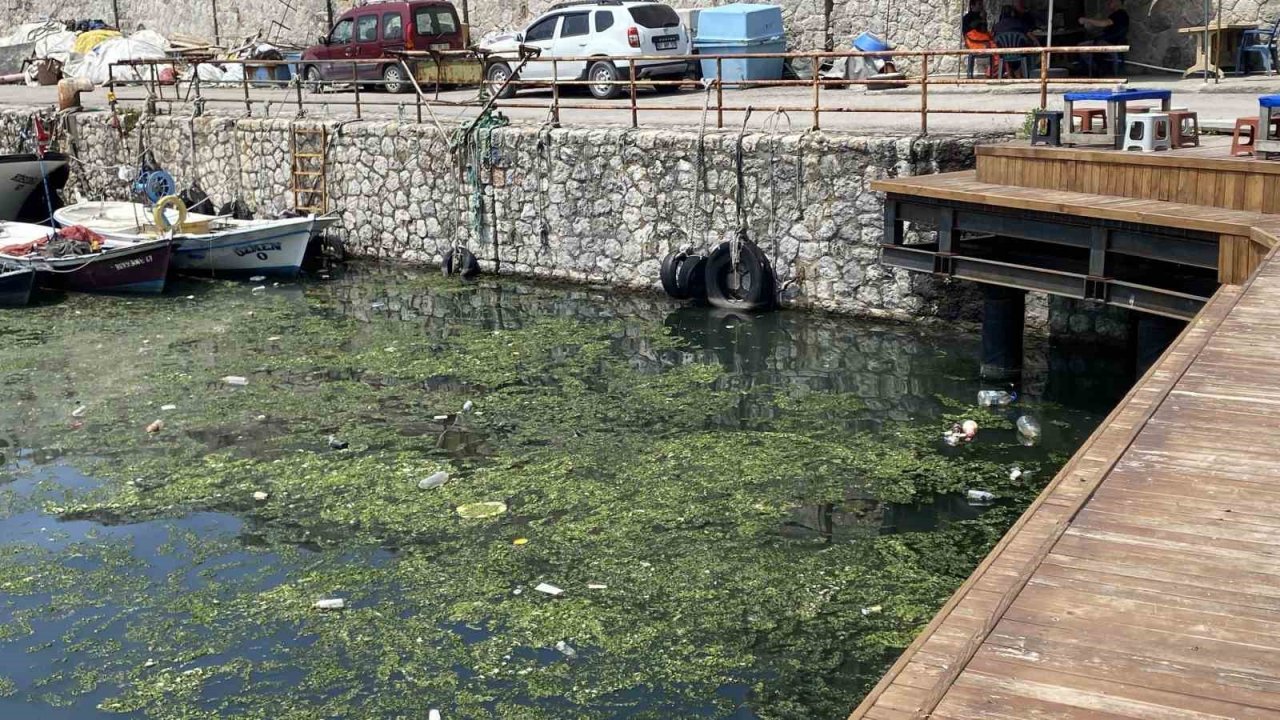 Limanı çöplüğe çevirdiler