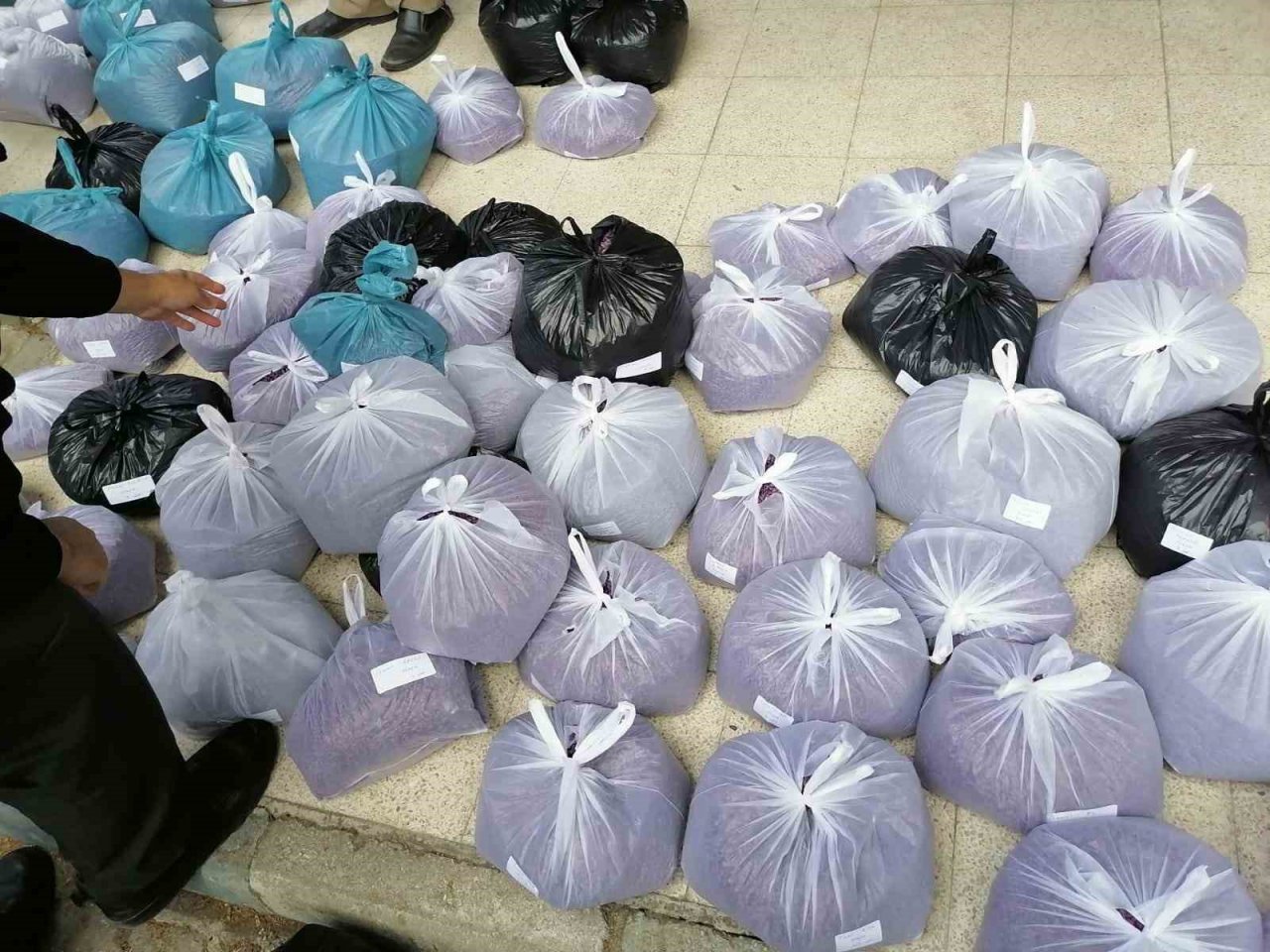 Simav’da üreticilere yüzde 75 hibeli 4 bin 500 kilo yağlık ayçiçeği tohumu dağıtıldı