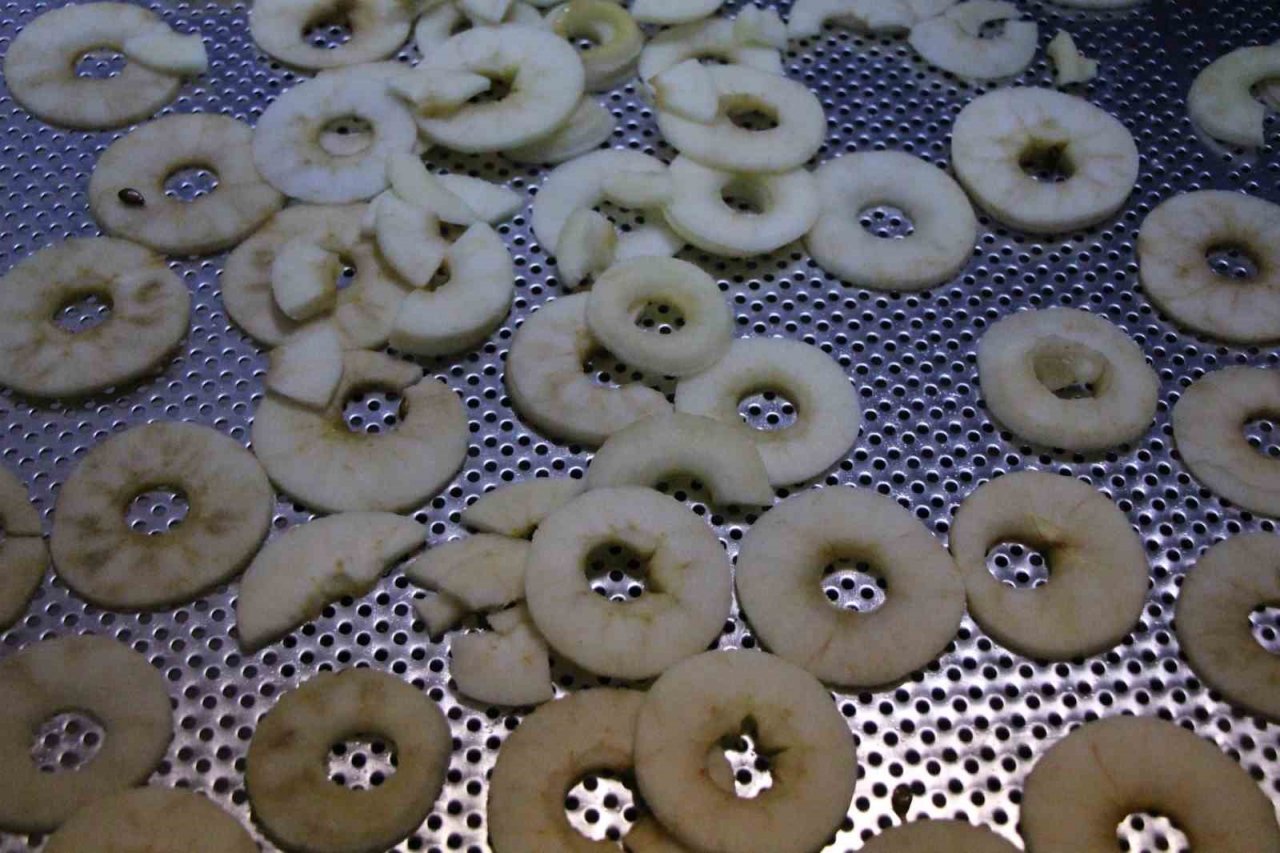 Amasya’da okulda meyve kurutma tesisi kuruldu, elma cipsi üretimine başlayan öğrencilerin hedefleri büyük