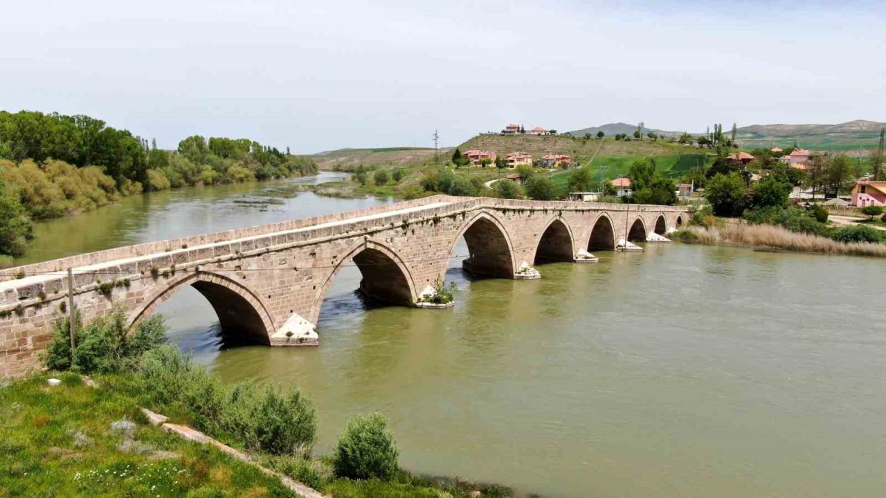 Tarihi köprü adeta kuşlara yuva oldu
