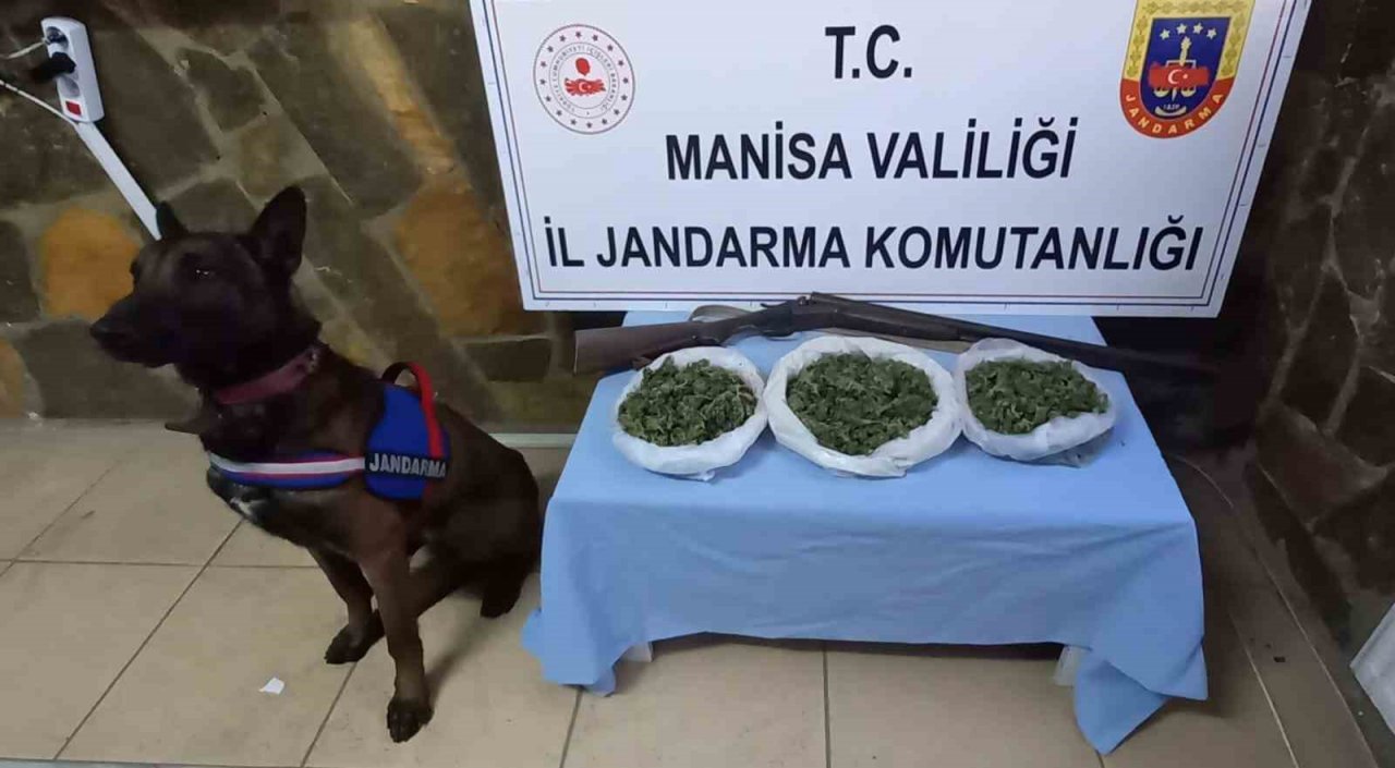 Manisa jandarmasından 389 uyuşturucu operasyonu