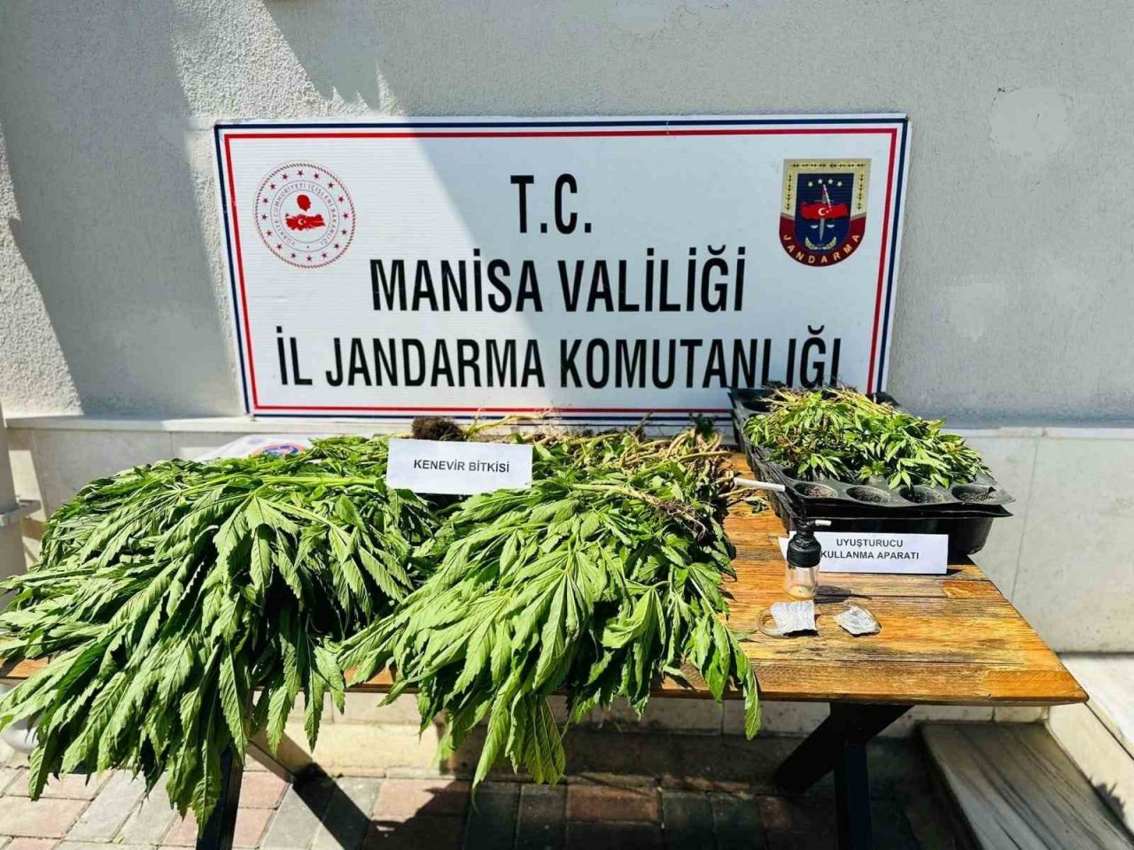 Manisa jandarmasından 389 uyuşturucu operasyonu