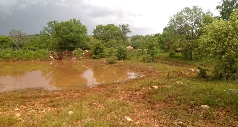Kayıp kadın dağ taş aranıyor