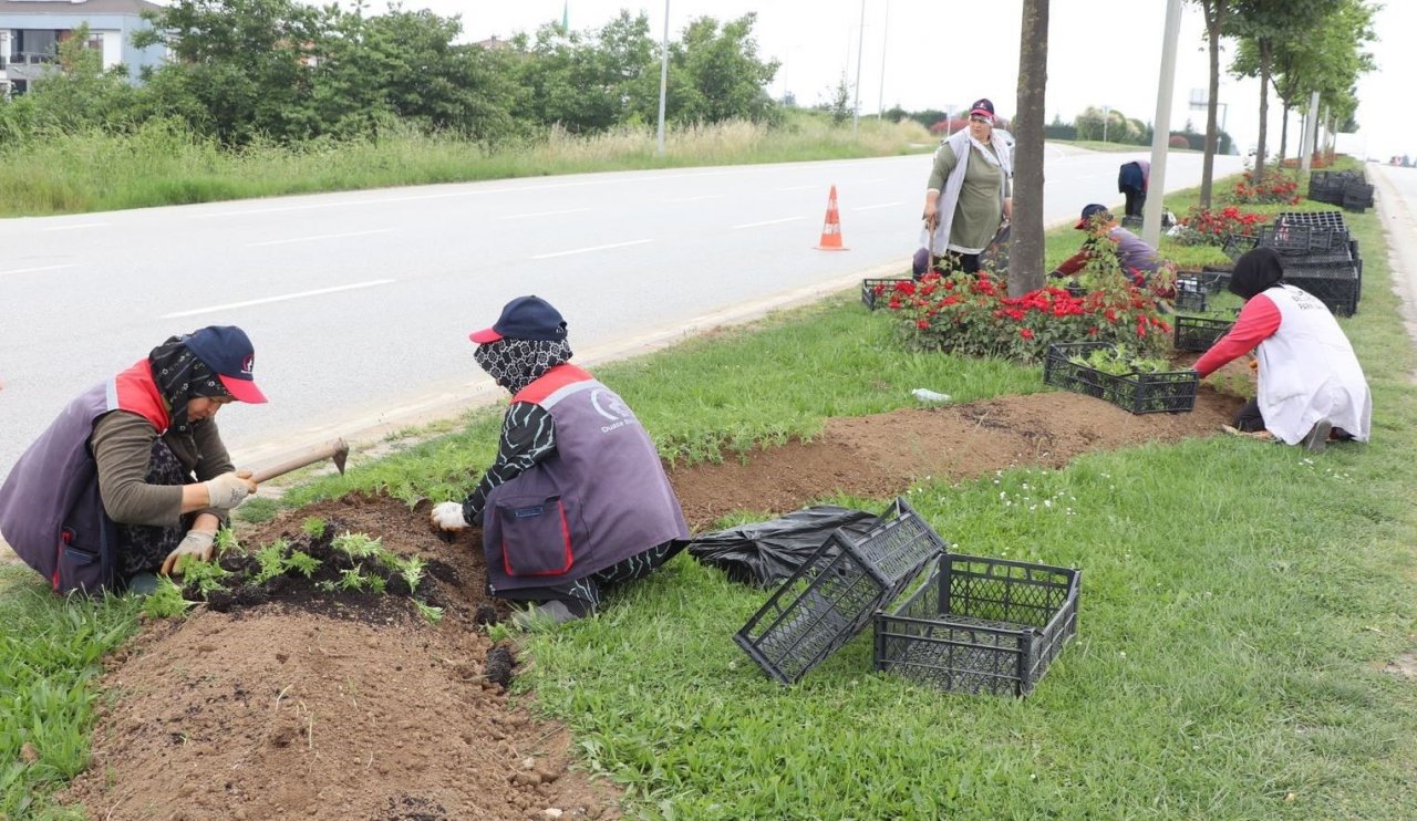 Rengarenk çiçekler toprakla buluştu