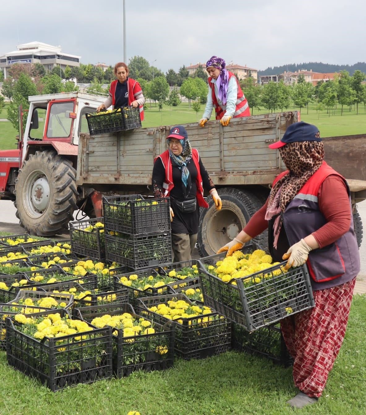 Rengarenk çiçekler toprakla buluştu