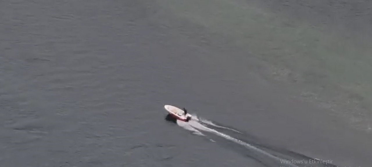 Baraj gölünde mahsur kalan köpekleri vatandaş kurtardı