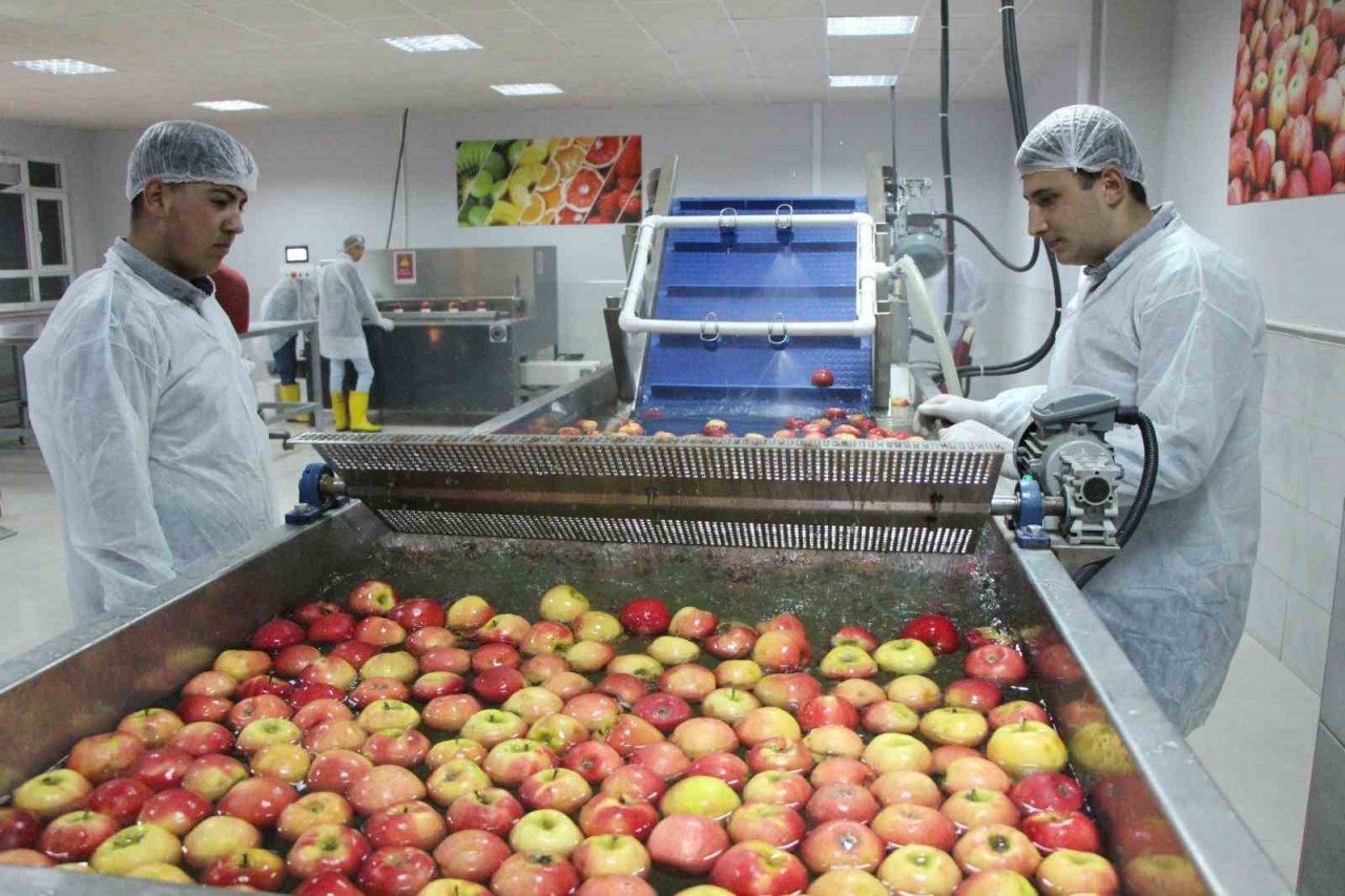 Amasya’da okulda meyve kurutma tesisi kuruldu, elma cipsi üretimine başlayan öğrencilerin hedefleri büyük