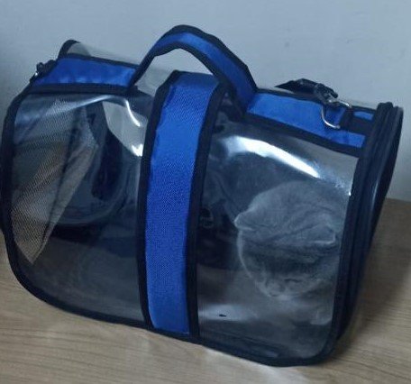 Isparta’da çalınan 2 köpek ve 1 kedi HAYDİ ekipleri tarafından bulundu