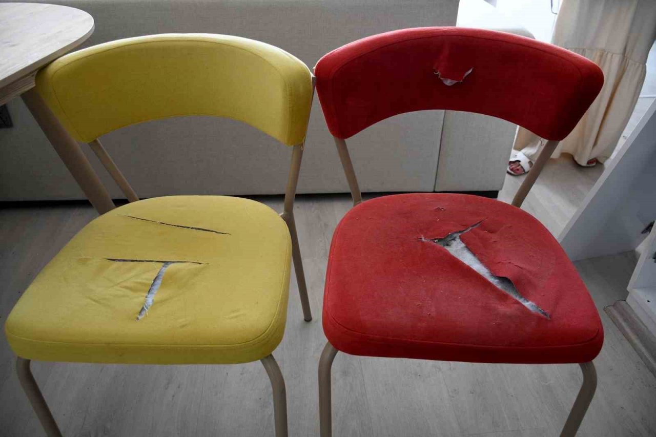 İki kadın ev sahiplerinin korkulu rüyası oldu