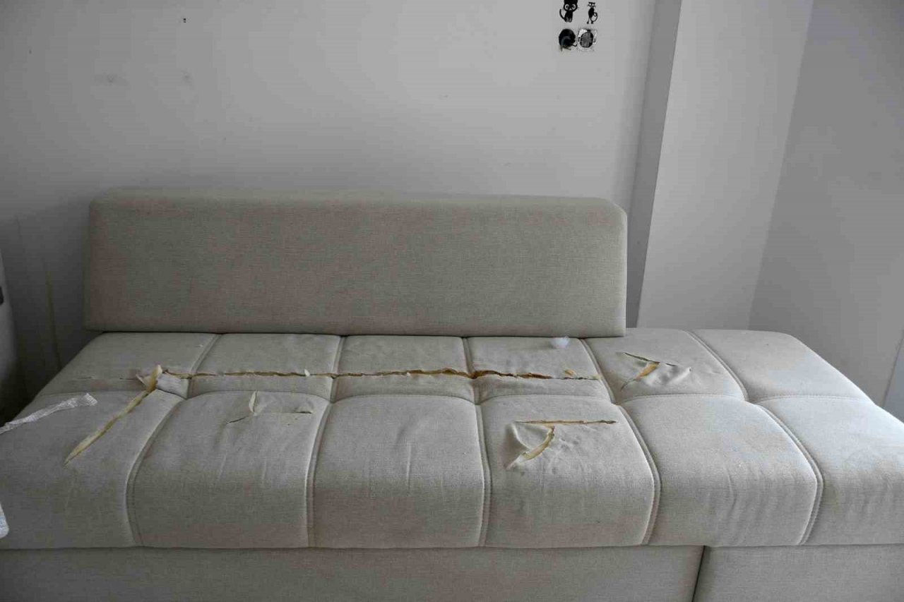 İki kadın ev sahiplerinin korkulu rüyası oldu