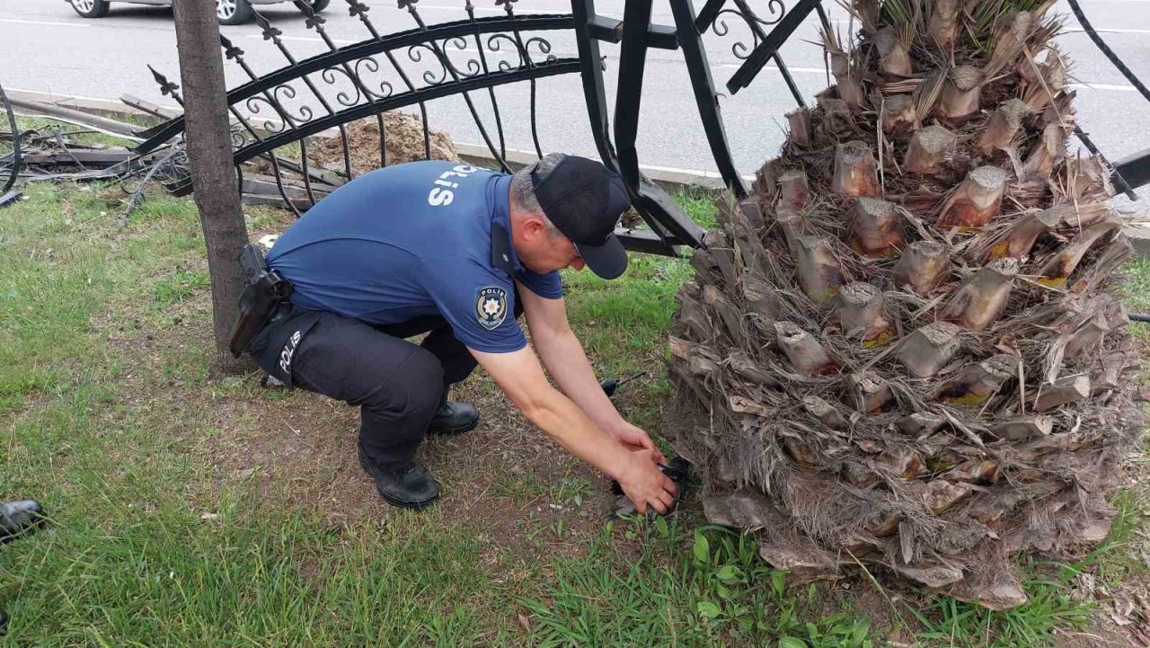 Samsun’da 9 kişinin yaralandığı işçi servisi kazasında polis, yaralı karga yavrusuna da hastaneye götürdü