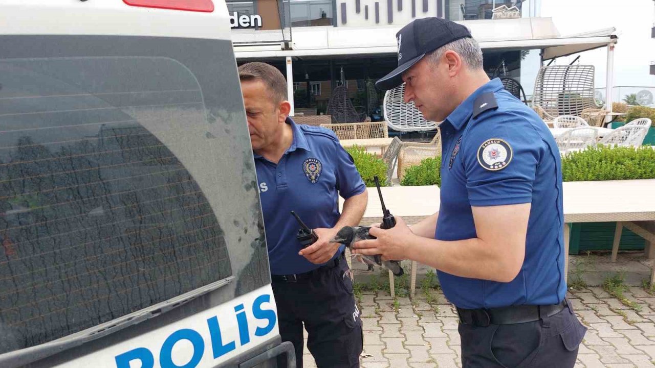 Samsun’da 9 kişinin yaralandığı işçi servisi kazasında polis, yaralı karga yavrusuna da hastaneye götürdü