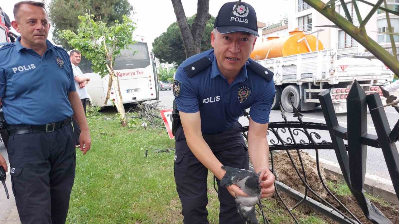 Samsun’da 9 kişinin yaralandığı işçi servisi kazasında polis, yaralı karga yavrusuna da hastaneye götürdü