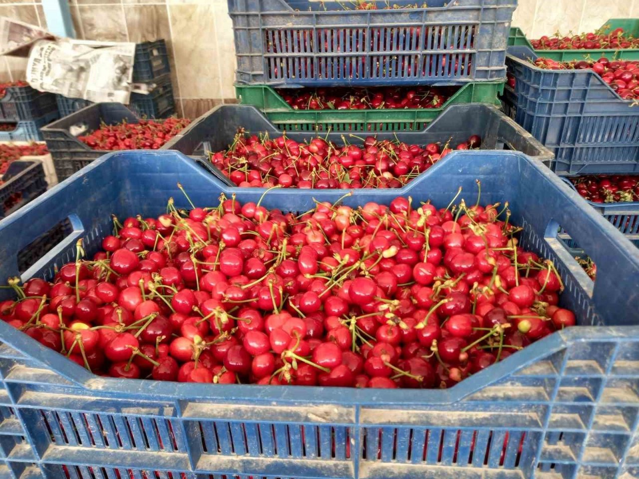 Selendi’de sezonun ilk kiraz pazarı kuruldu