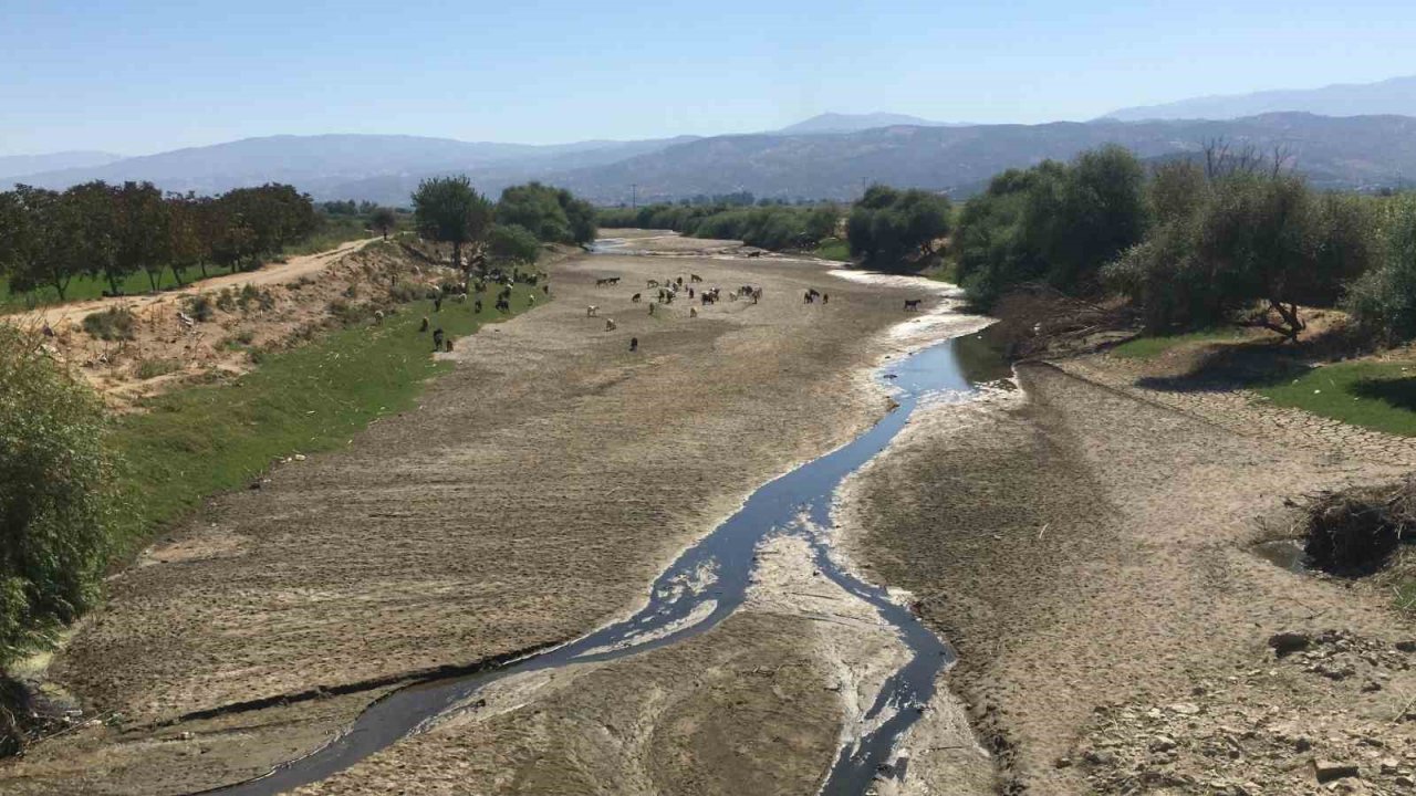 Büyük Menderes Nehri’nde sevindiren manzara, Aydın’da kuraklık tehlikesi atlatıldı