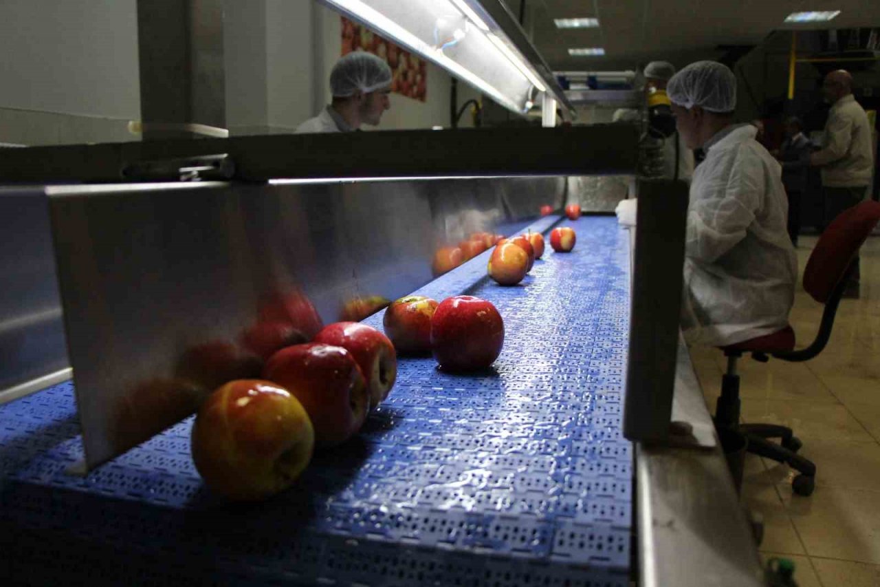 Amasya’da okulda meyve kurutma tesisi kuruldu, elma cipsi üretimine başlayan öğrencilerin hedefleri büyük