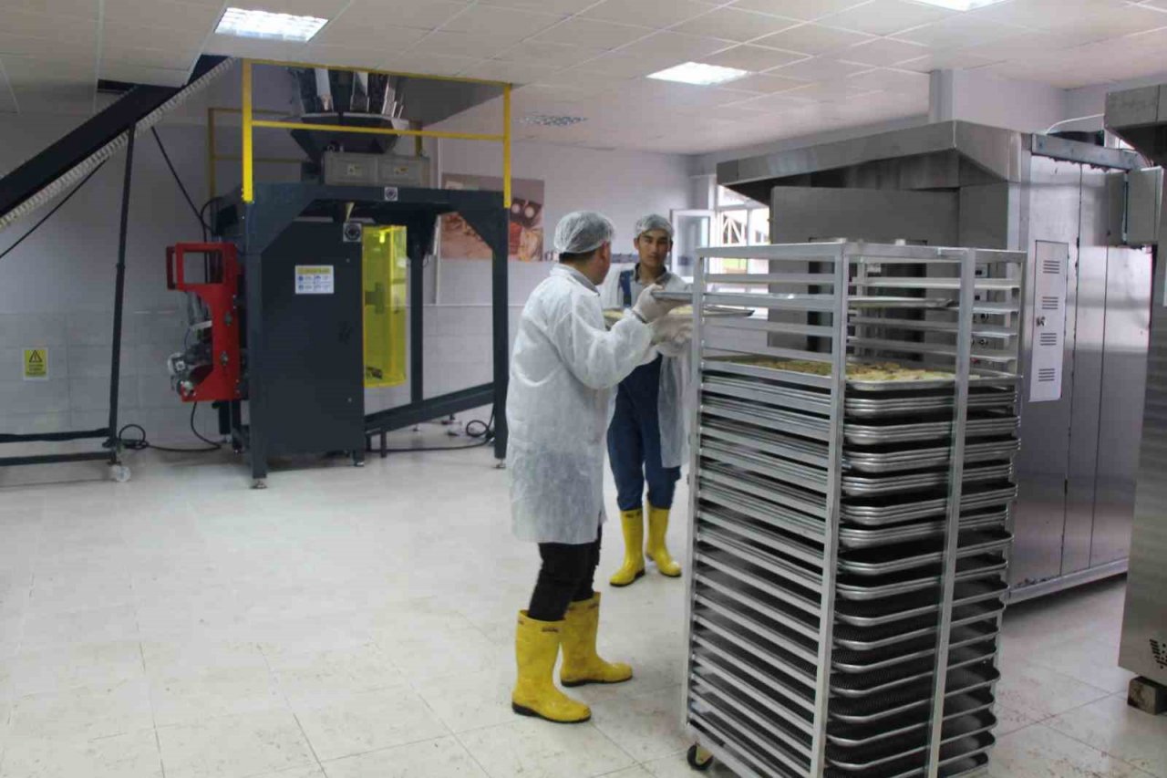 Amasya’da okulda meyve kurutma tesisi kuruldu, elma cipsi üretimine başlayan öğrencilerin hedefleri büyük