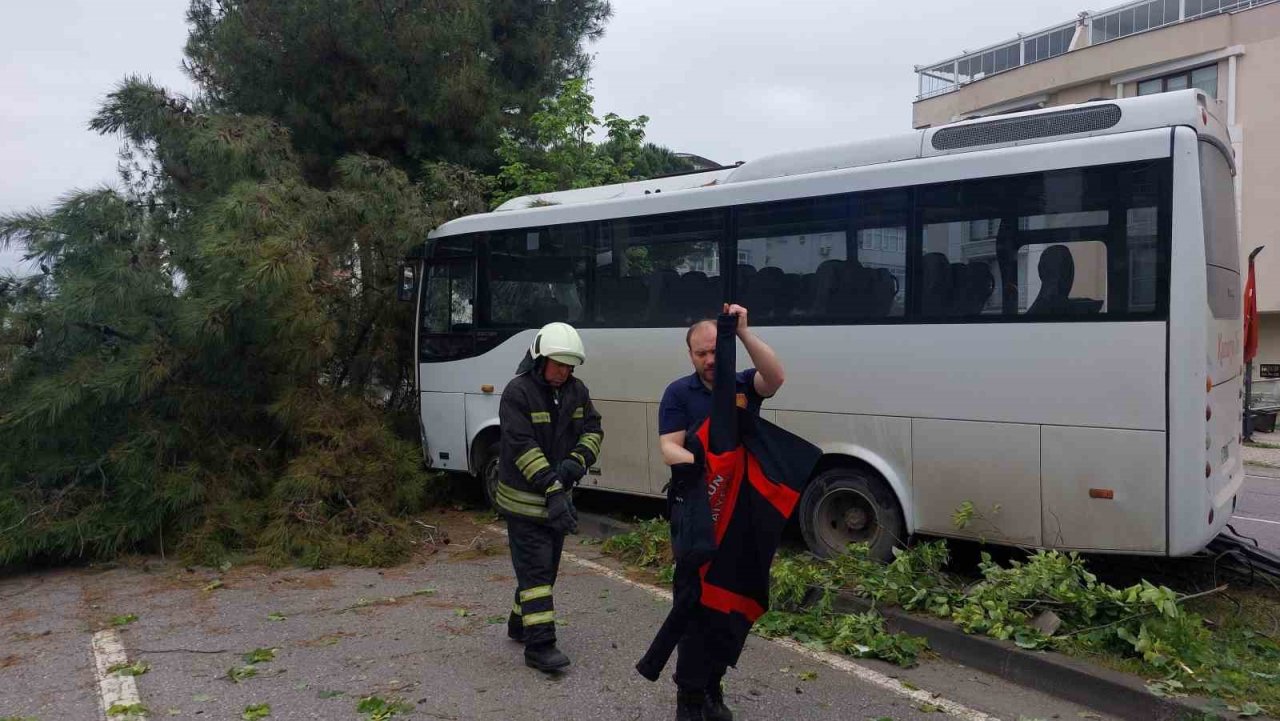 Samsun’da 9 kişinin yaralandığı işçi servisi kazasında polis, yaralı karga yavrusuna da hastaneye götürdü