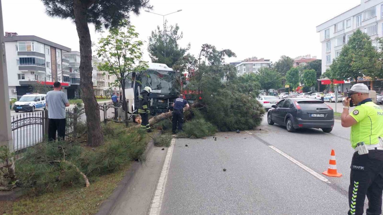 Samsun’da 9 kişinin yaralandığı işçi servisi kazasında polis, yaralı karga yavrusuna da hastaneye götürdü