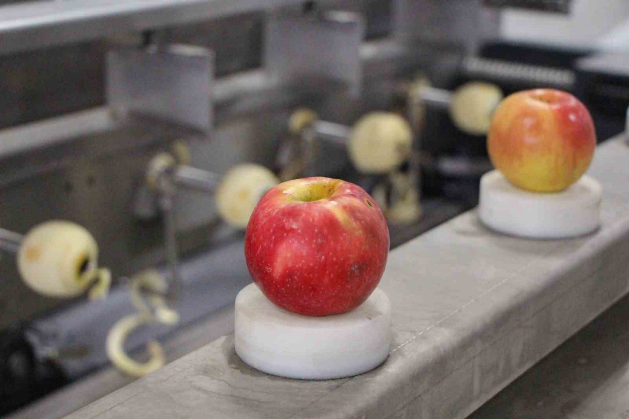 Amasya’da okulda meyve kurutma tesisi kuruldu, elma cipsi üretimine başlayan öğrencilerin hedefleri büyük