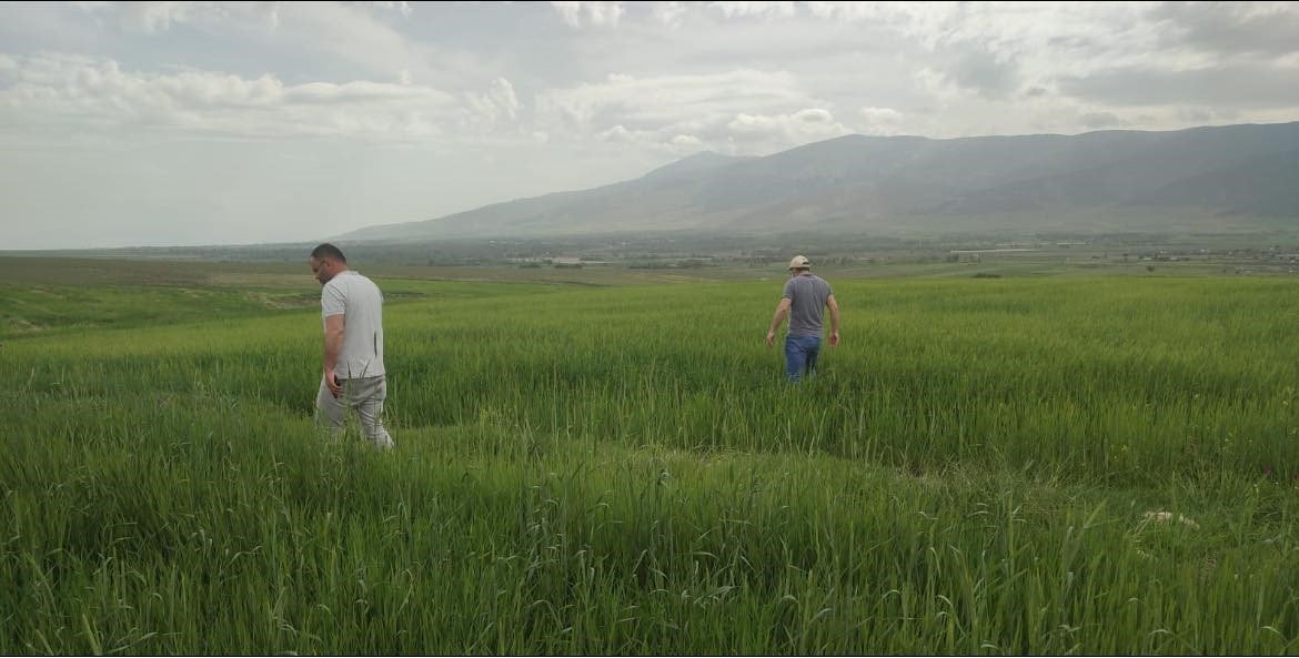 Ekili alanlarda zararlı haşerelere karşı mücadele başlatıldı