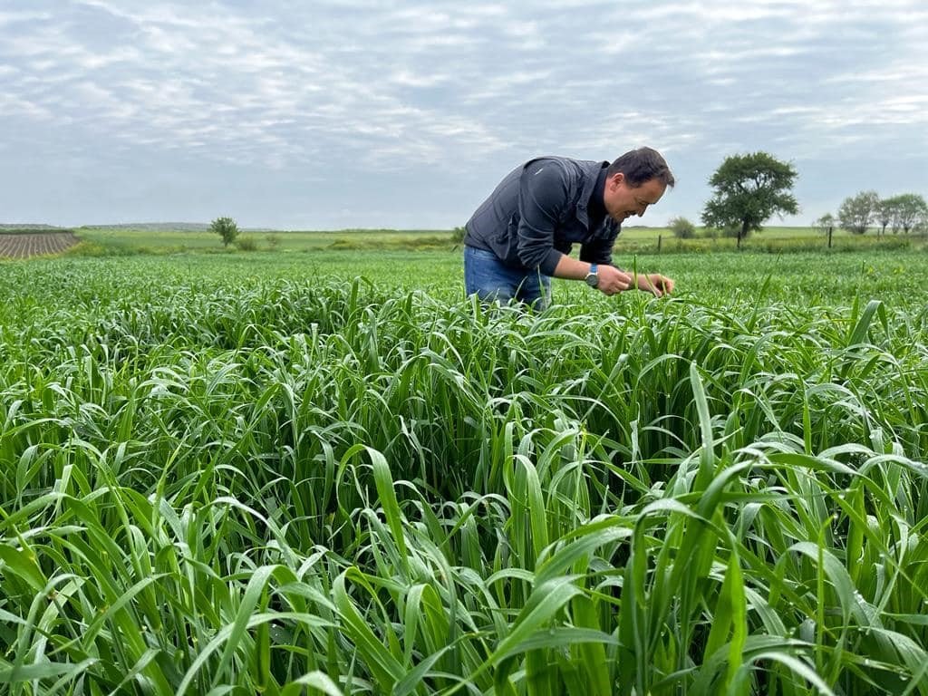 Ekili alanlarda zararlı haşerelere karşı mücadele başlatıldı