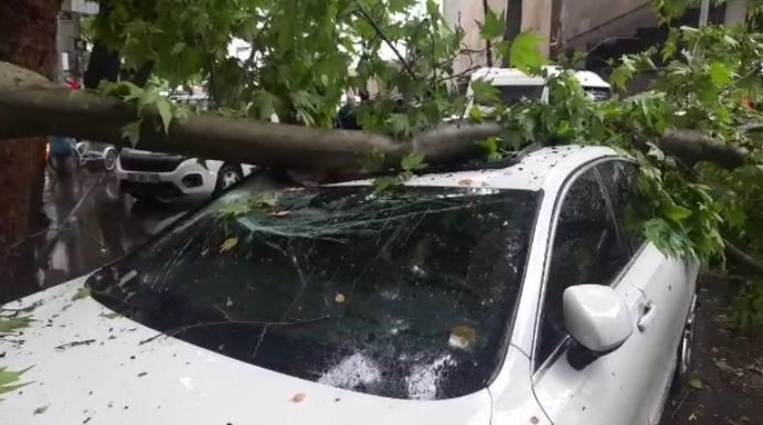 Ankara’da 3 aracın üzerine ağaç devrildi