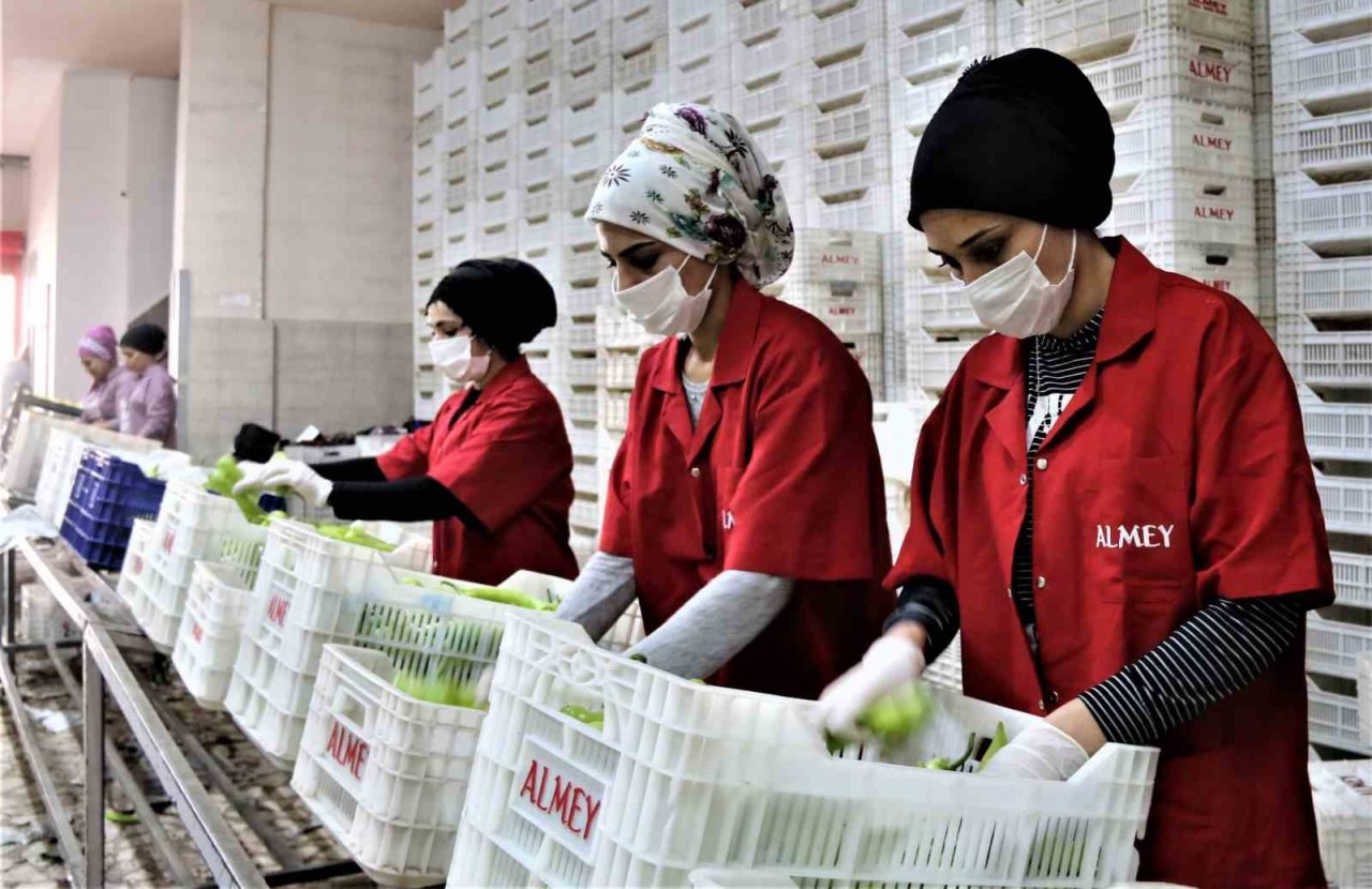 Antalya’da Nisan ayı ihracatı 238,4 milyon dolar oldu