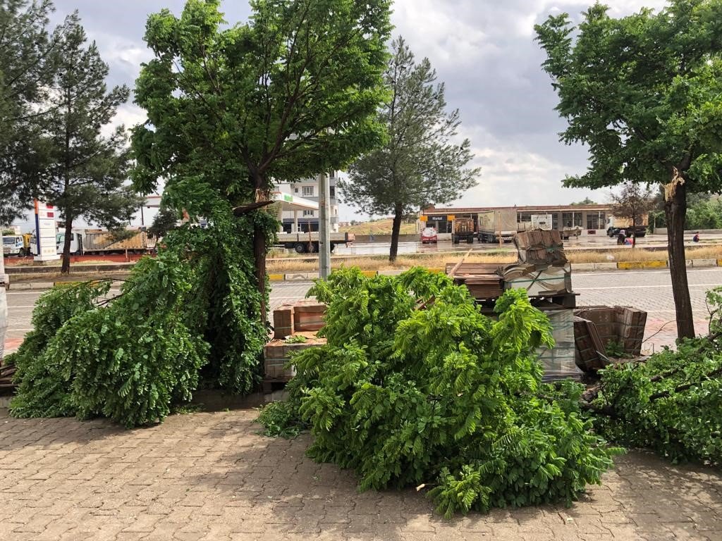 Kozluk’ta sağanak nedeniyle dereler taştı, ağaçlar devrildi