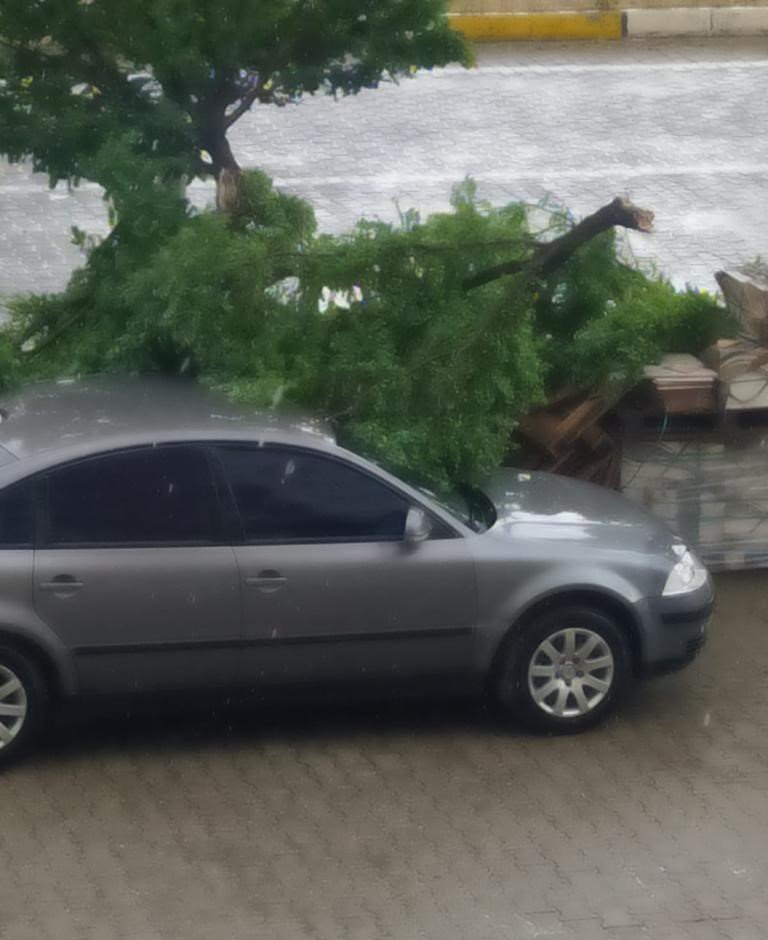 Kozluk’ta sağanak nedeniyle dereler taştı, ağaçlar devrildi